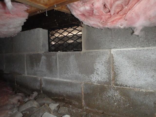 Crawl Space Vent