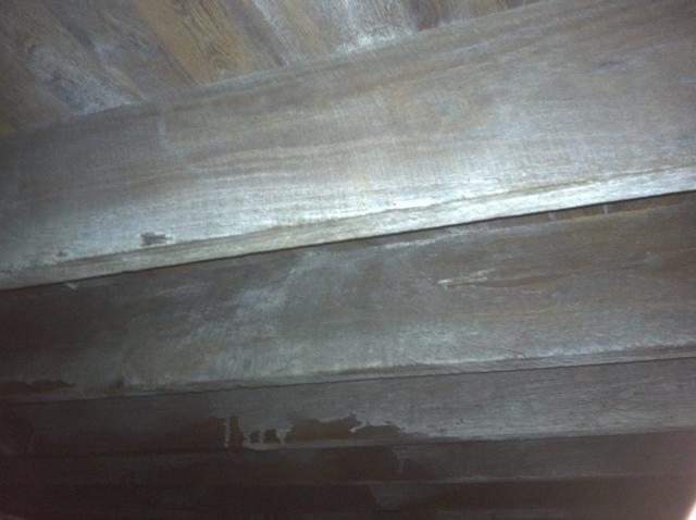 Moldy Crawlspace has Bowed Supports in Henderson, KY