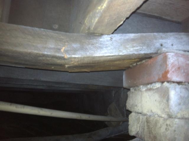 Cracked Subfloor Joist in Henderson KY home