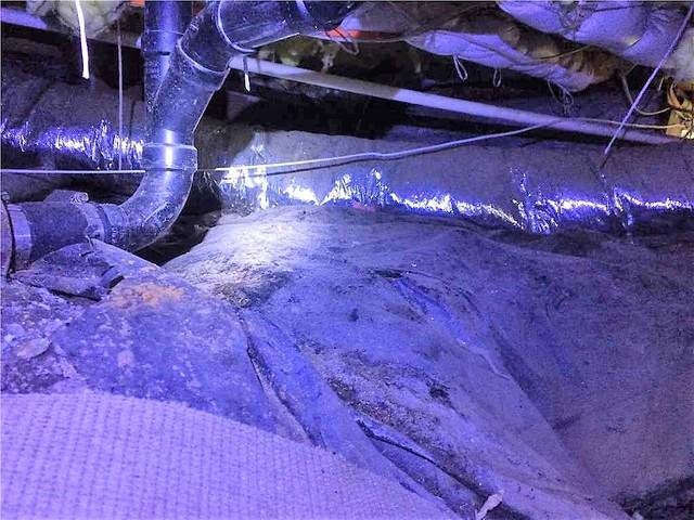 Carpet and Venting