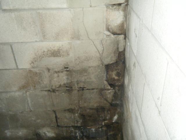 Wall Failure in Owensboro, KY Basement