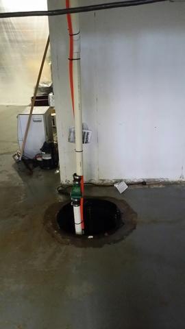 Original Sump Pump