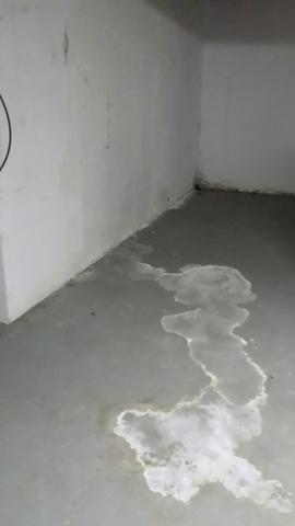 The walls of the basement were also affected by the water in the basement. Discolored and moldy are not attractive.