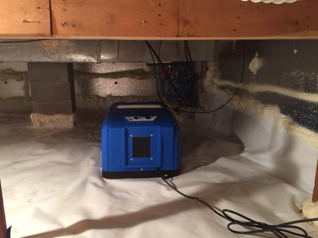 <p>This SaniDry CX takes up to 100 pints of water per day out of crawl space air. It also filters out particles out of the air to less than two microns in size (smaller than mold spore or dust mite dropping). With the SaniDry you can say GOOD-BYE to that damp smell and feeling!</p>