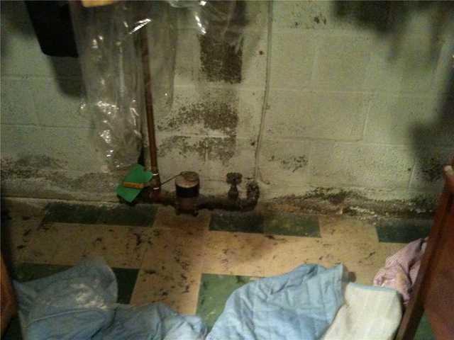 Leaky Basement With Water Stains