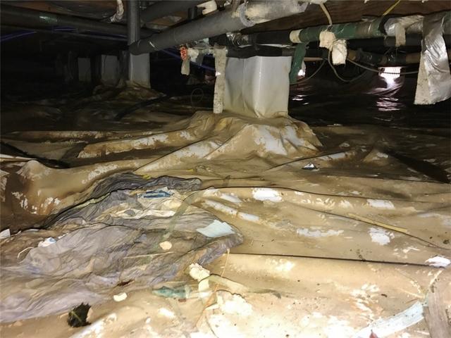 Nasty Crawl Space