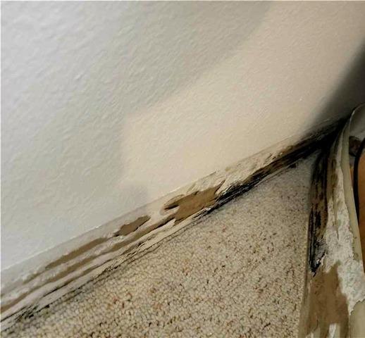 More Water Damage Uncovered in Osage, Iowa Finished Basement