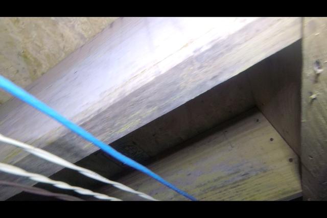 Mold Growth