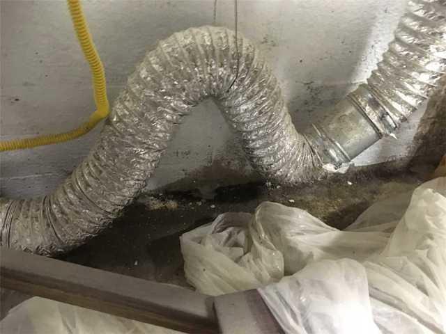 Damp and Dirty