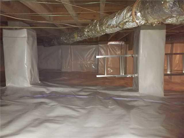 CleanSpace