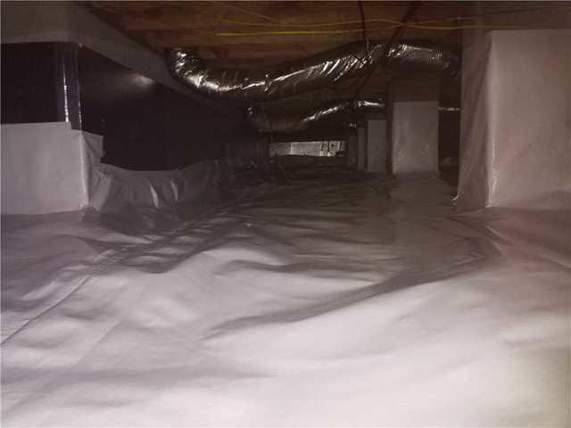 CleanSpace
