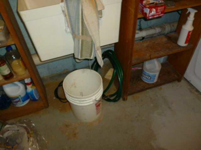 Water Puddles In Basement