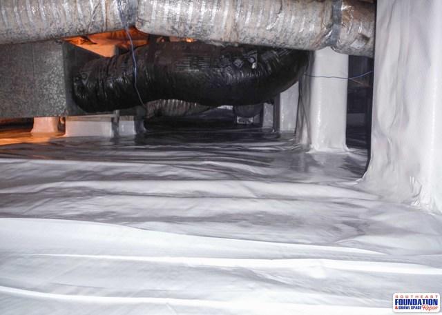 No More Critters or Bugs