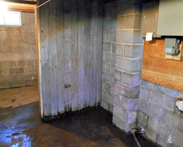 Wet Basement