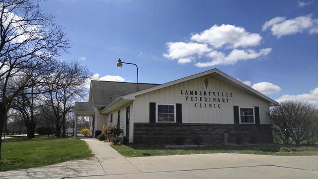 New commercial roof