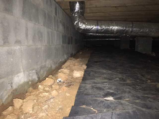 Muddy Crawl Space