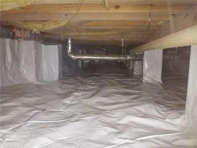 CleanSpace
