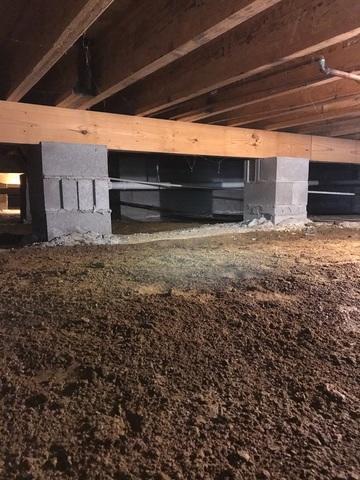 Wood beams can be a prime place for mold to grow in the crawl space.