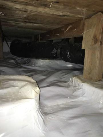 Cleanspace Encapsulation System