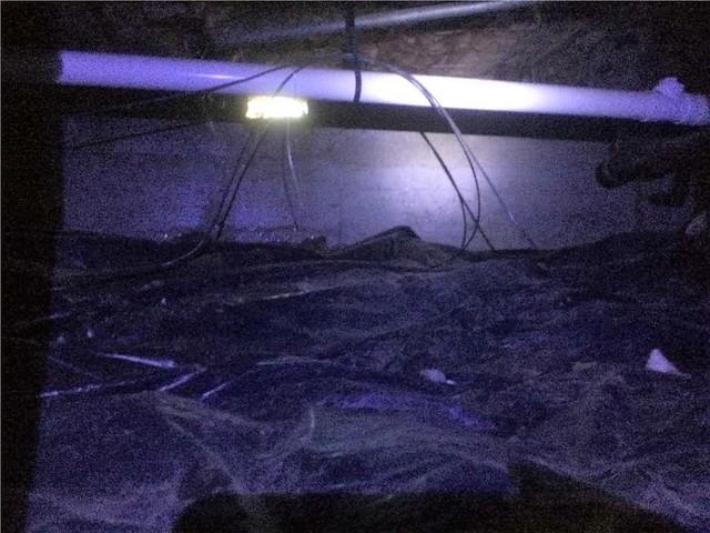 Wet Crawlspace