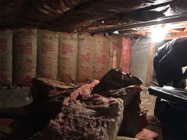 Homeowner insulating the crawl space himself