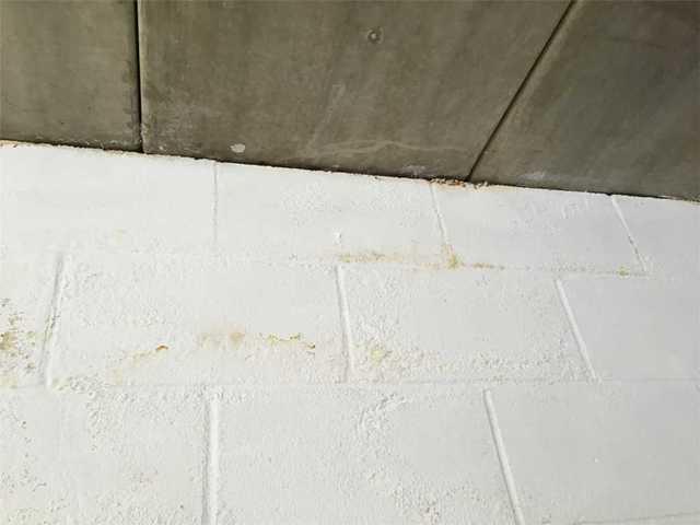 A leaking foundation