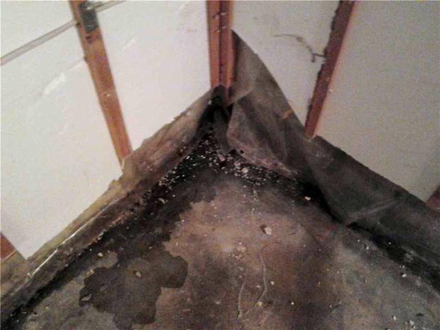 Closer view of basement flooding