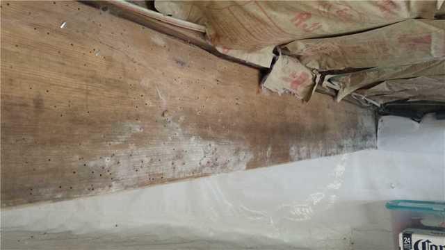 Mold
