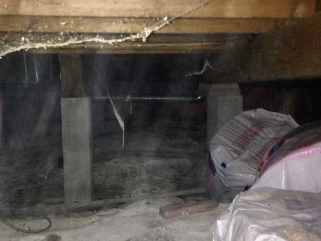 Many Problems in This Crawl Space