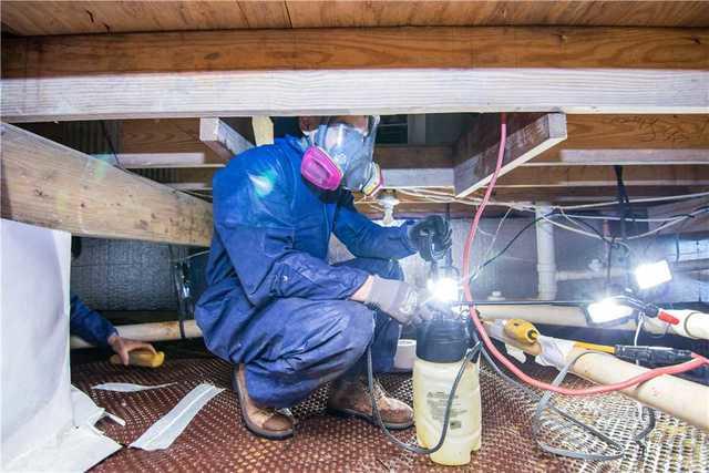 Quality 1st Team hard at Work!