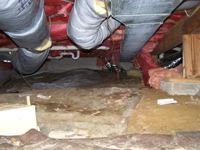 <p>This home in Washington, CT has a dirt crawl space that the owners tried to cover. The tarp on the floor is impermanent, and it will not prevent moisture from entering the crawl space. Damp crawl spaces are highly vulnerable to mold and rot that can affect the rest of the home. We recommend installing our CleanSpace crawl space encapsulation system. The durable liner covers the dirt floor and walls and prevents water from entering the area, keeping the crawl space dry and functional.</p>