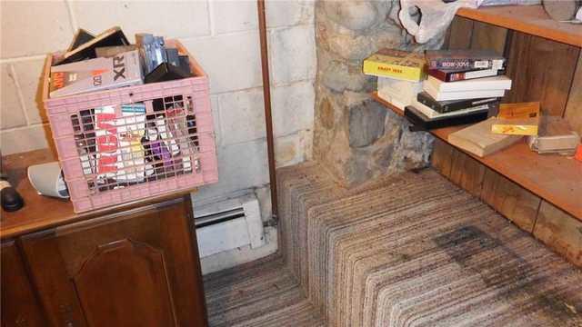 Mold Growing in Damp Basement