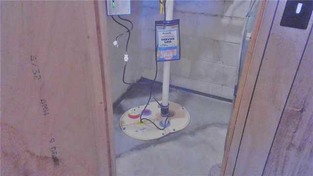 TripleSafe Sump Pump is the King/Queen of all Sumps