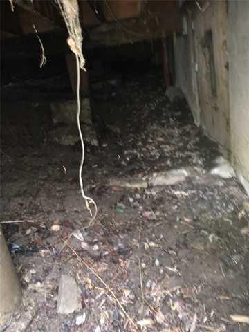 Gross crawlspace