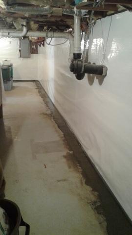 WaterGuard and CleanSpace Wall System