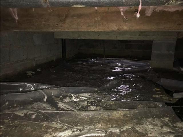 First Look at Crawl Space