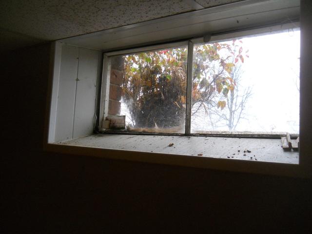 Old Basement Windows