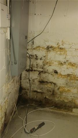 Moldy Water Damaged Walls