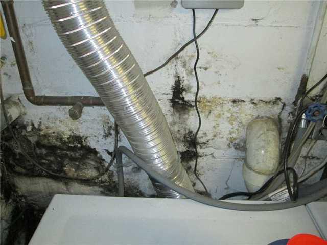 More Mold
