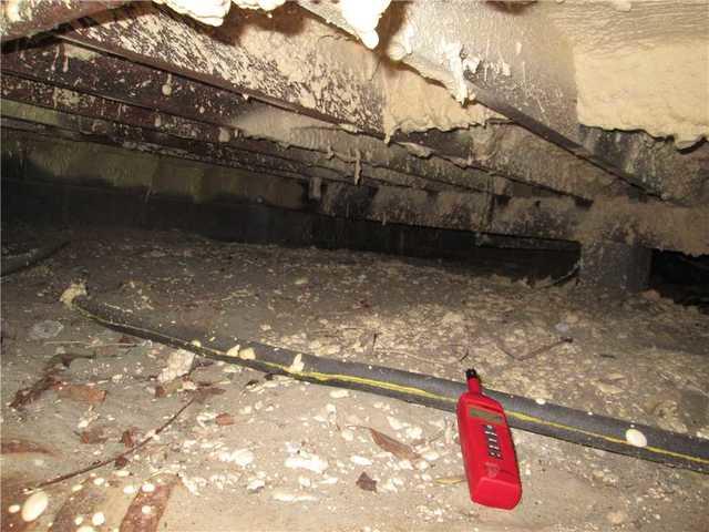 Dirty, Humid Crawlspace