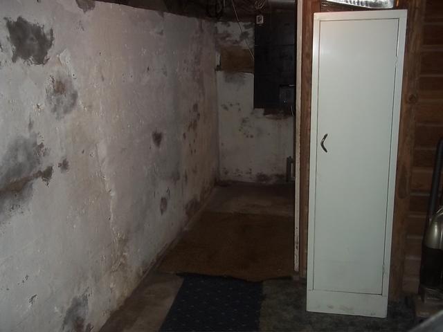 Damp Basement in Canterbury, CT
