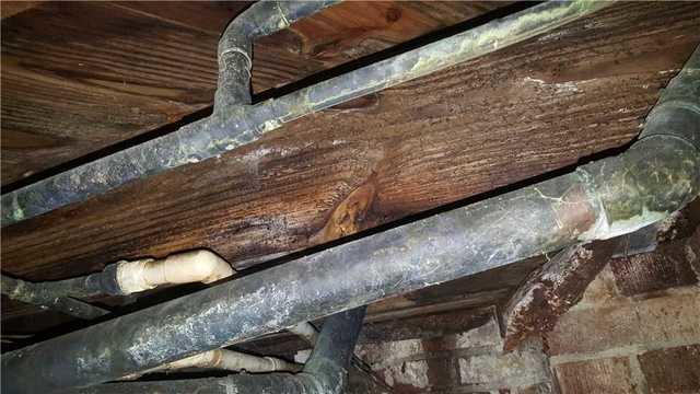 Wet Crawl Spaces lead to Problems