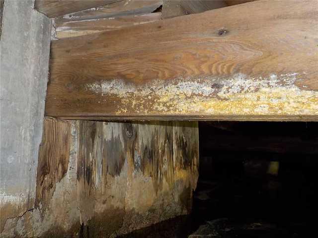 These floor joists are starting to rot because of all the moisture in the crawl space. This is also a sign that mold is more than likely starting to grow.