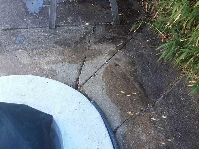 The cracks in the concrete patio.