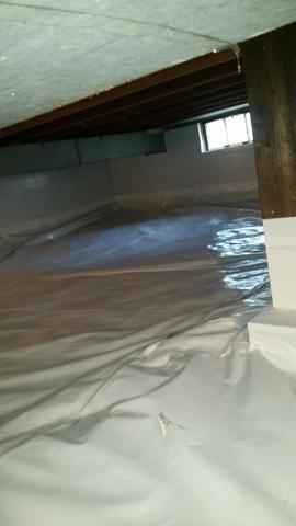 CleanSpace