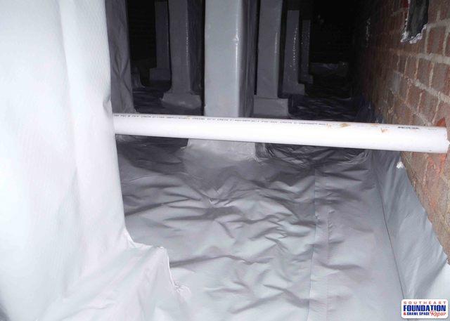 No More Mold