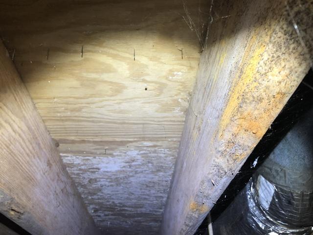 Spreading Mold in Crawl Space