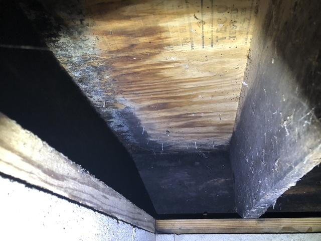 Wet load-bearing girders and floors joists are under attack by mold.