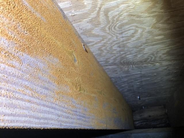 Mold Damage in Crawl Space