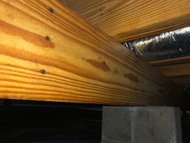 Another view of the subfloor joists after they've been scrubbed and treated.